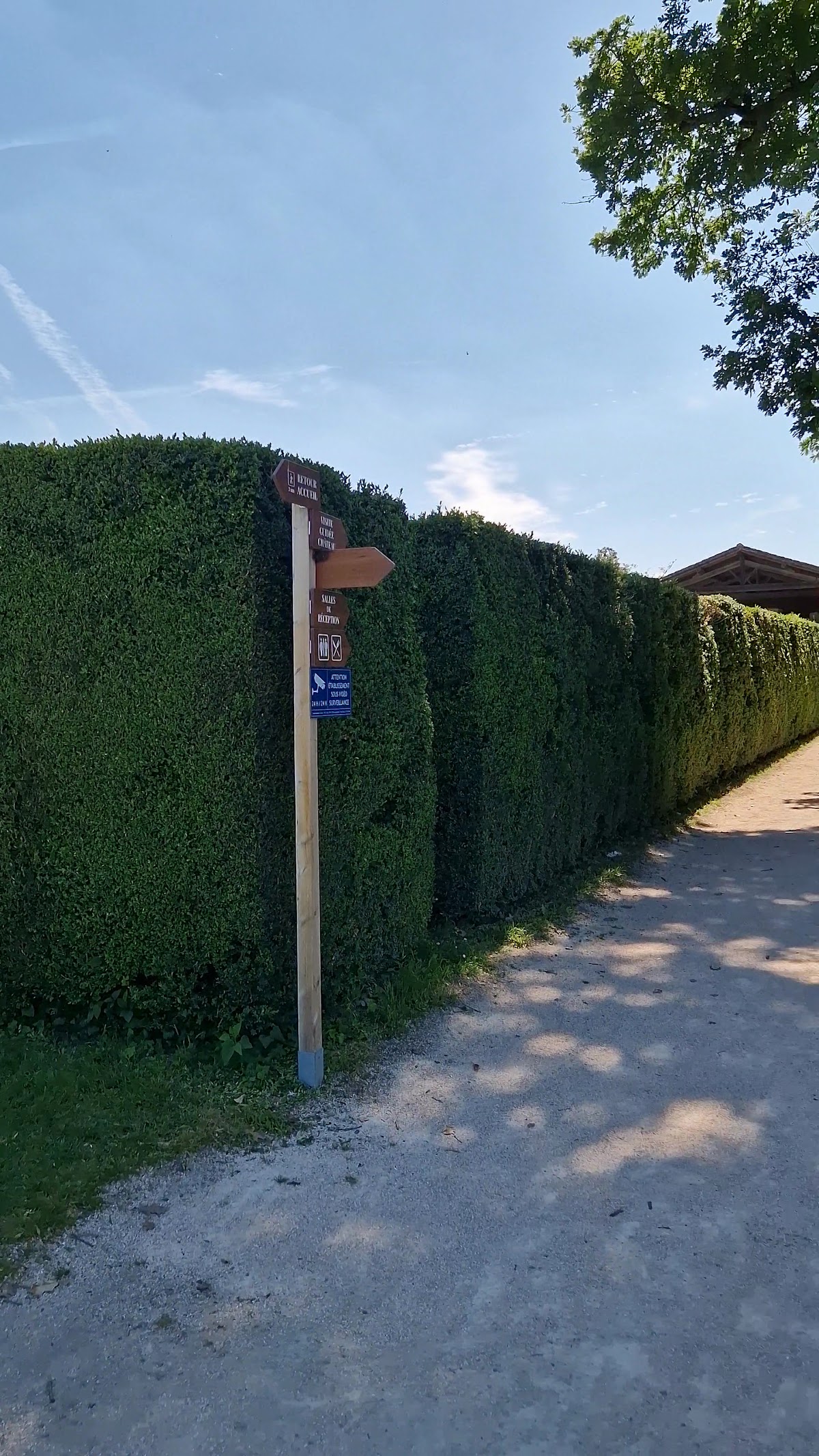 Château de Merville photo 4