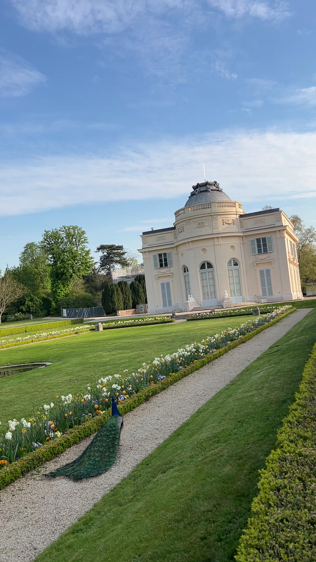 L'Orangerie du Parc photo 2