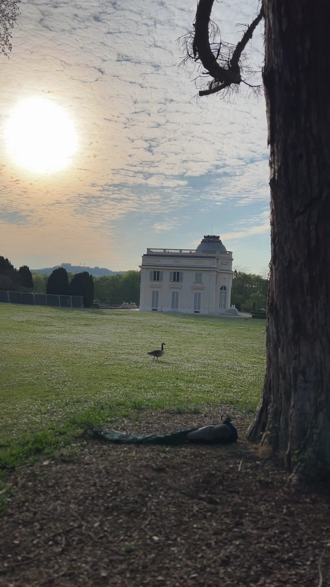 L'Orangerie du Parc photo 3